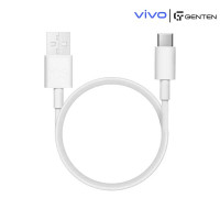 ViVO 6A Data Cable USB to C